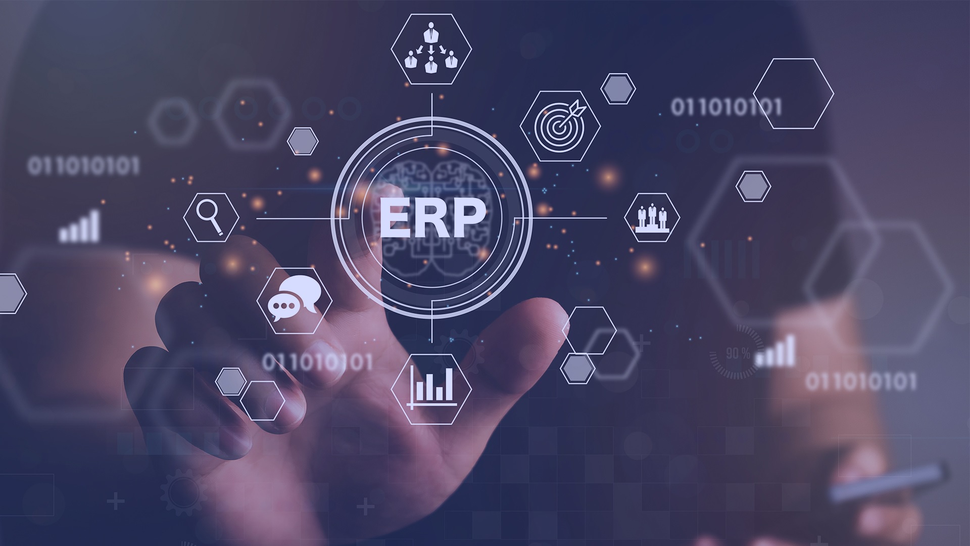 ERP Demo